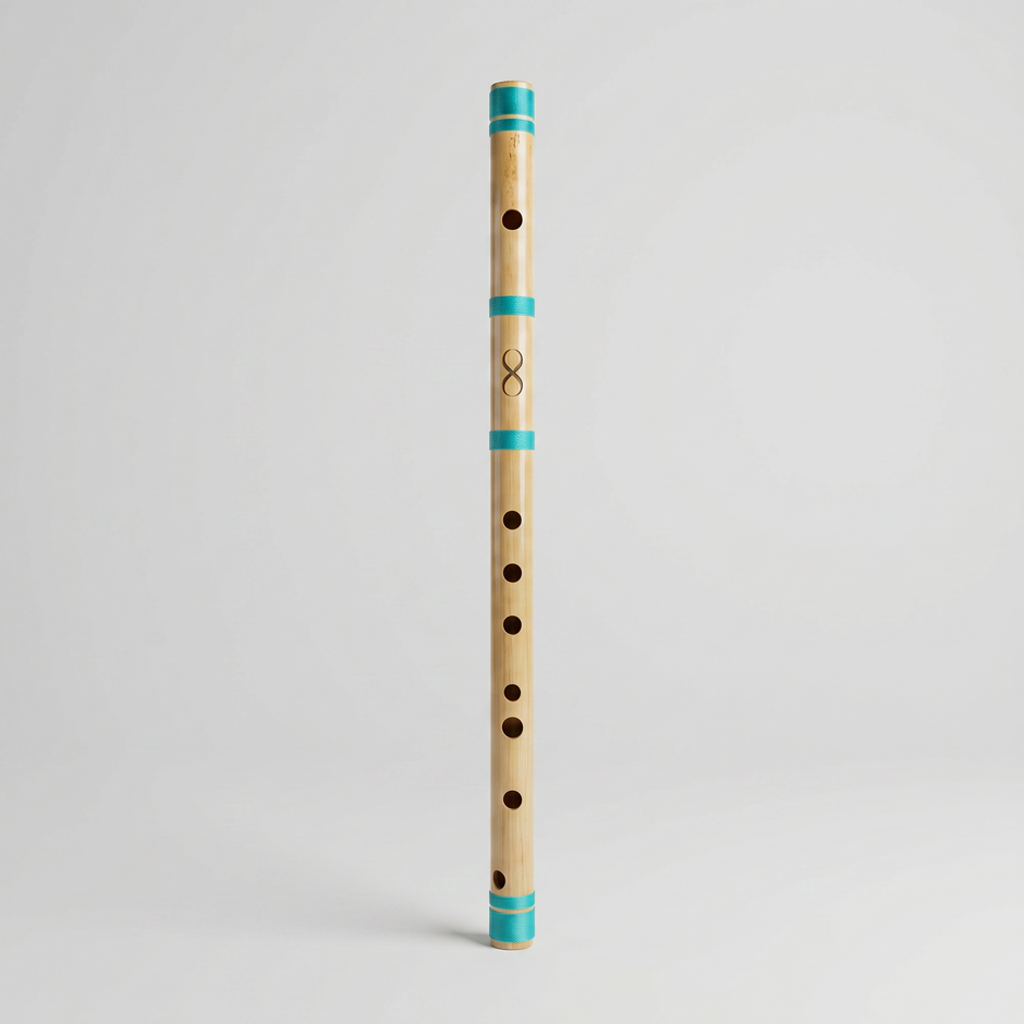 Professional C# Middle Scale Bansuri Flute with Case - 18 Inch